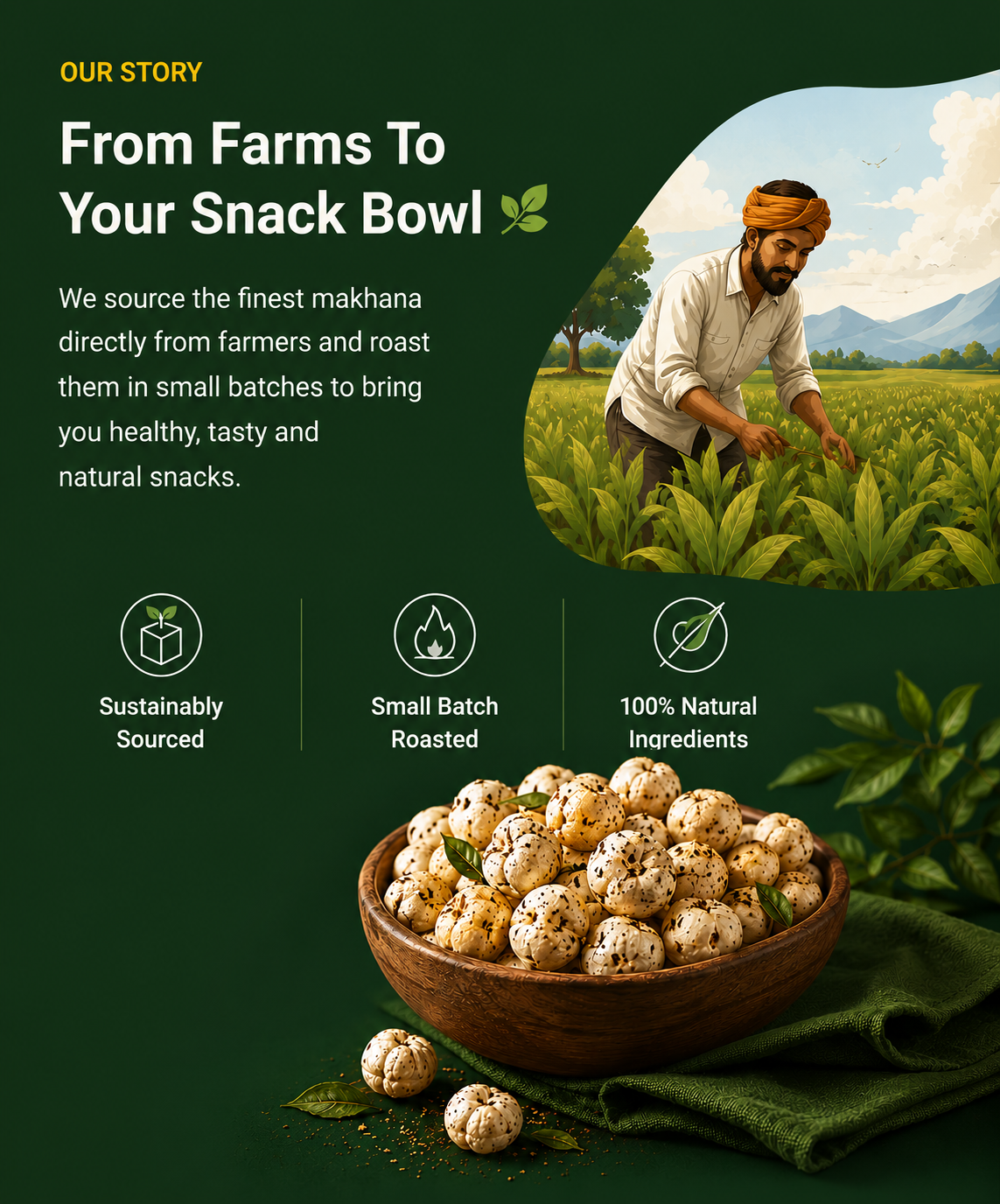 directly from farm fresh makhana used for roasted makhana