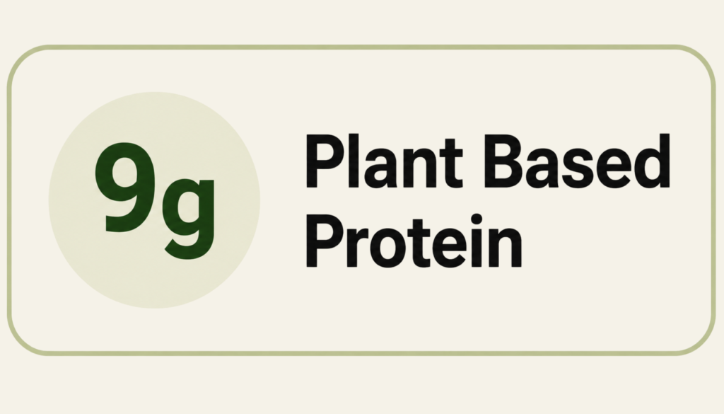 Plant based protein snack in india